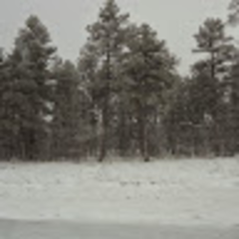 Meet your Posher, Gwen